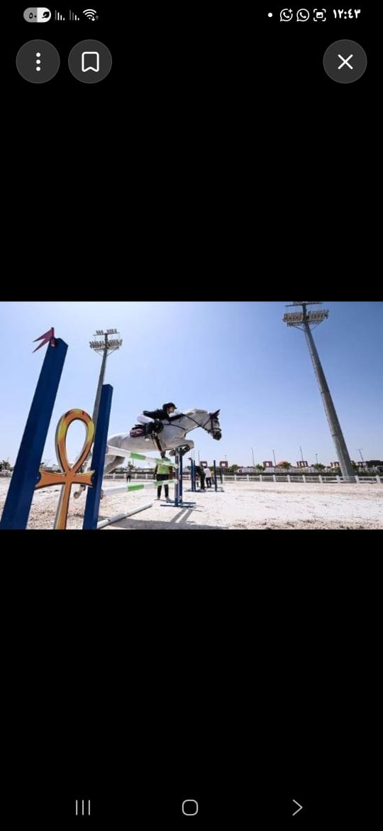 اليوم..  أهرامات الجيزة تهز عالم الفروسية